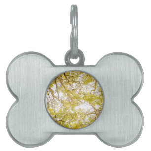 Golden Aspen Forest Canopy Pet Name Tag