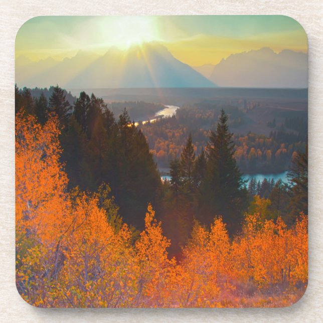 Golden Aspens Above Snake River At Sunset Coaster (Front)