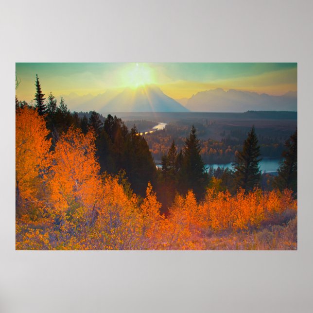 Golden Aspens Above Snake River At Sunset Poster (Front)