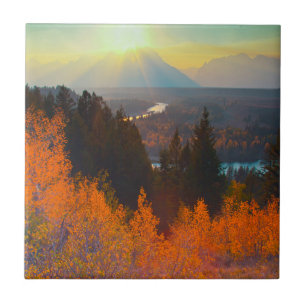 Golden Aspens Above Snake River At Sunset Tile