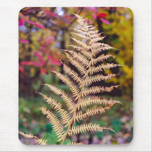 Golden Autumn Fern Leaf Specimen Mouse Pad