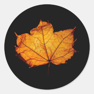 Golden Autumn Leaf Classic Round Sticker