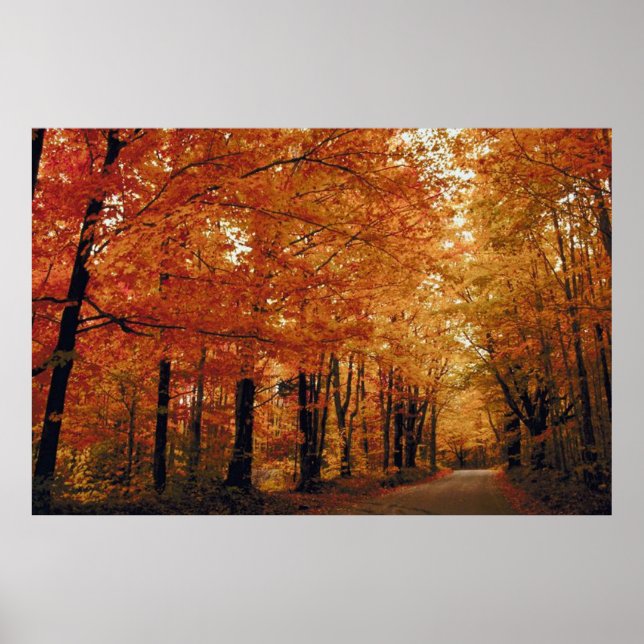 Golden Autumn Road Poster (Front)