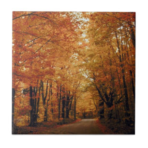 Golden Autumn Road Tile