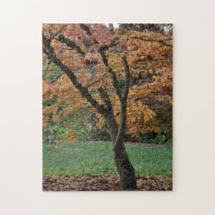 Golden autumn tree jigsaw puzzle