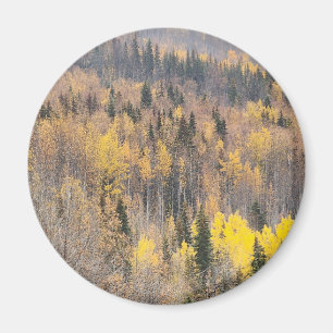 Golden Autumn Woodland Landscape Magnet