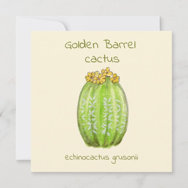 Golden Barrel cactus greeting card (Front)