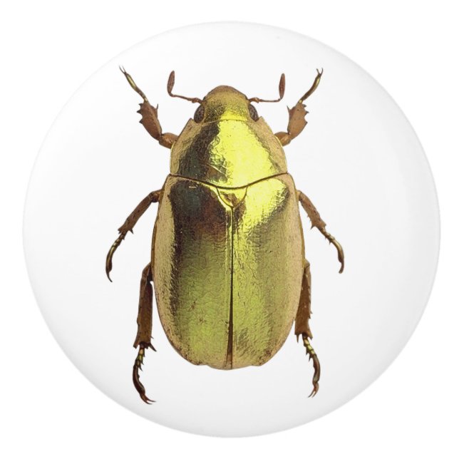 Golden Beetle Ceramic Knob (Front)