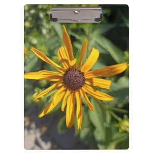 Golden Black-Eyed Susan Floral Clipboard   Botanic