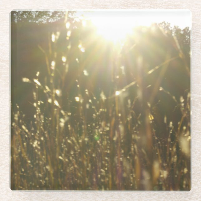 "Golden Blades of Sunlight" Original Art by KAS Glass Coaster (Front)