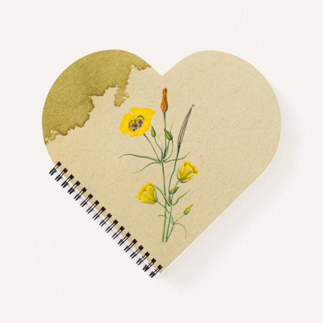 Golden Bowl Mariposa Flower Notebook (Front)
