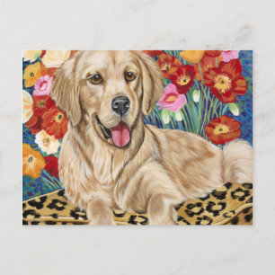 Golden Boy Retriever Postcard