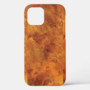 Golden brown marble iPhone 12 pro case