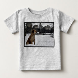 Golden by Conservatory Water-Central Park T-shirt