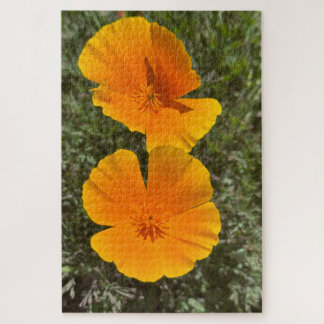 Golden California Poppies in Bloom, Oakland Jigsaw Puzzle