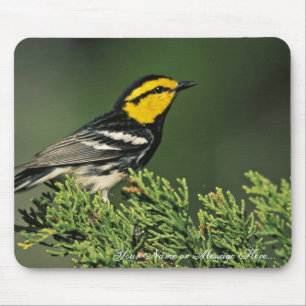Golden-Cheeked Warbler Mouse Pad