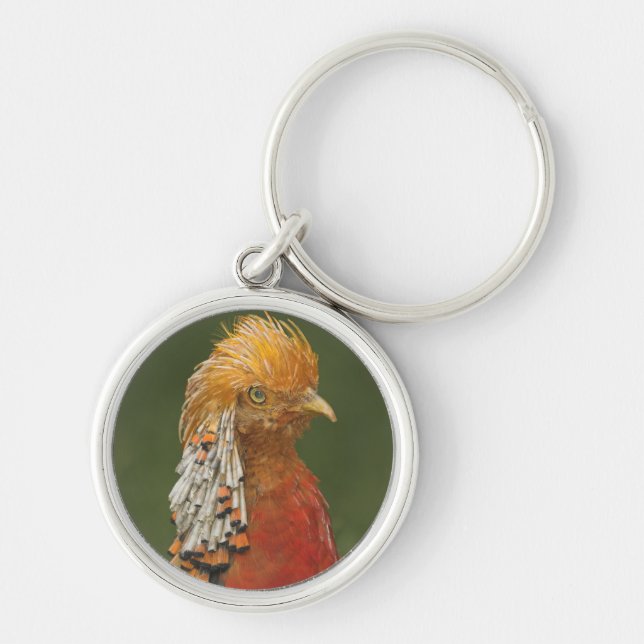 Golden/Chinese Pheasant Keyring/Keychain Key Ring (Front)