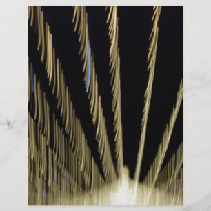 Golden Christmas lights