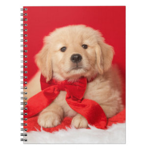 Golden Christmas Puppy Red Bow Notebook