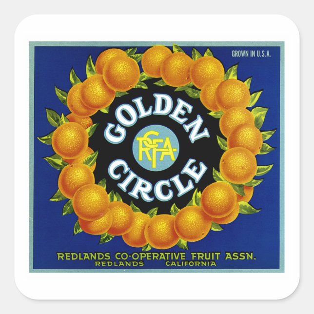 Golden Circle Oranges Square Sticker (Front)