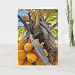 Golden Coconuts Thank You Card