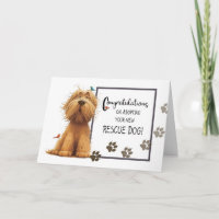 Golden Coloured Shaggy Dog Congratulations Adoptin