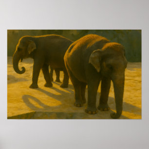 Golden Companions – Elephant Trio in Warm Light Poster