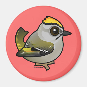 Golden-crowned Kinglet Magnet