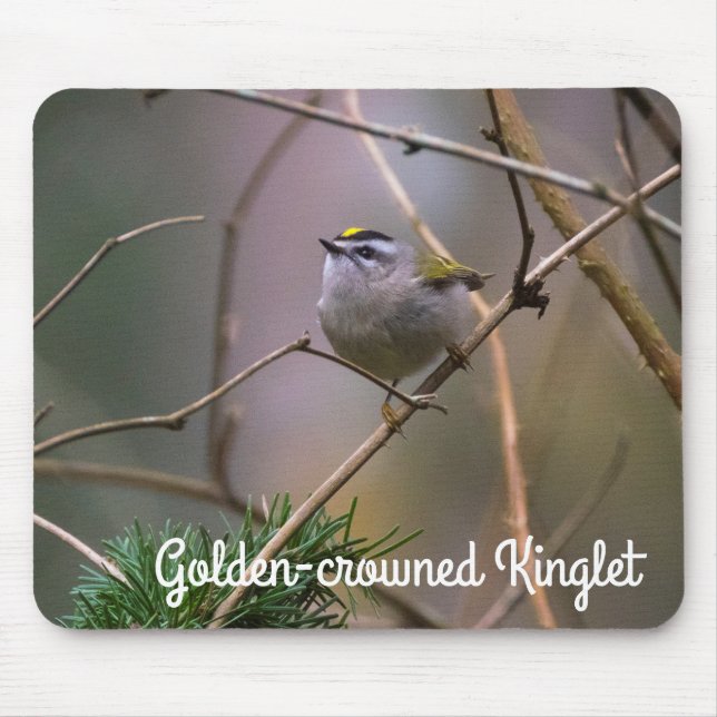 Golden-Crowned Kinglet Mouse Pad (Front)