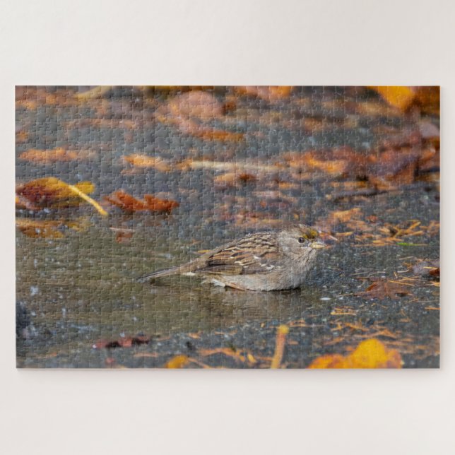 Golden-crowned Sparrow Jigsaw Puzzle (Horizontal)