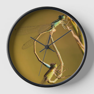 Golden Damselflies Original Macro Photography Clock