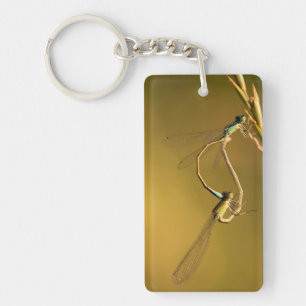 Golden Damselflies Original Macro Photography Key Ring