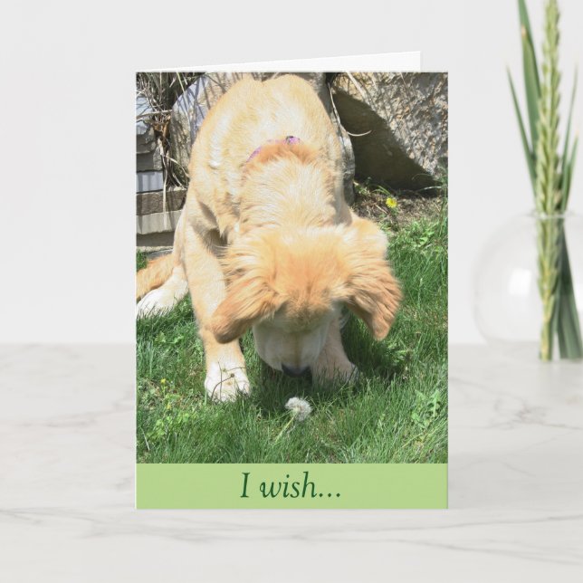 Golden Dandelion Wish Sympathy Card (Front)