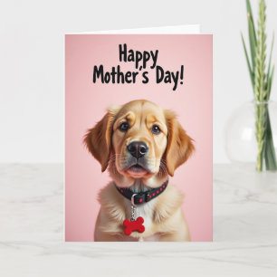 Golden Dog Mothers Day Portrait Card