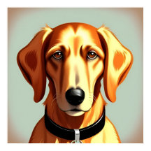 Golden Dog With Collar Showing Identity Tag