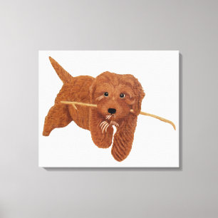 Golden Doodle  Canvas Print