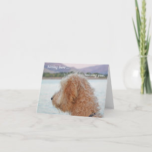 Golden Doodle Card--Missing You Notecard