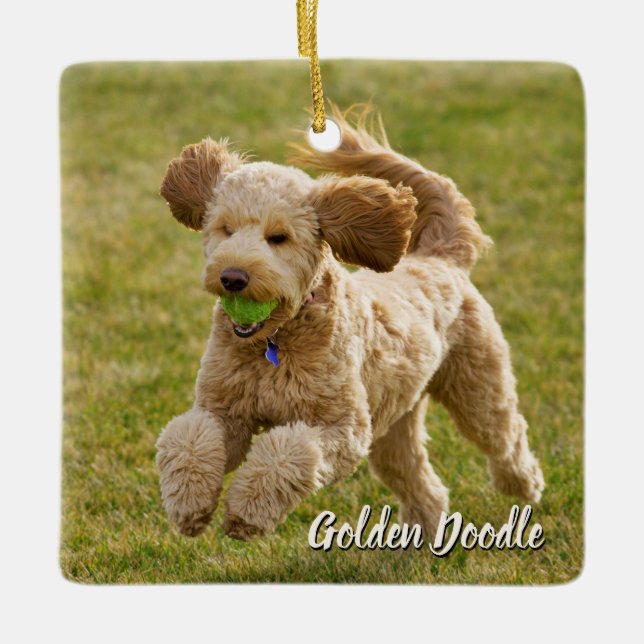 Golden Doodle Dog Ceramic Ornament (Front)