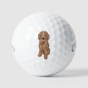 Golden doodle dog golf balls