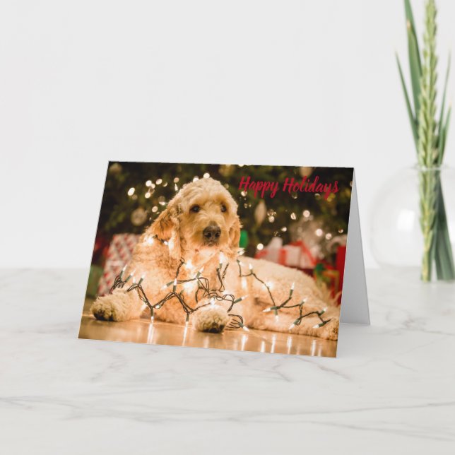 Golden Doodle Holiday Christmas Card (Front)