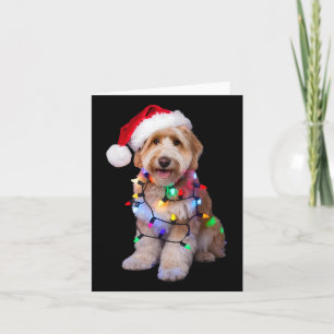 Golden Doodle In Santa Hat Wrapped Up In Christmas Card