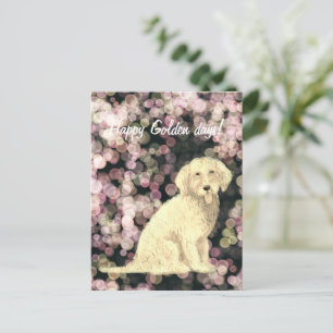 Golden Doodle  Postcard