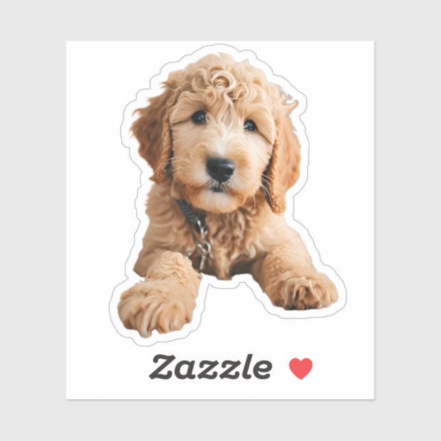 Golden Doodle Puppy (Sheet)