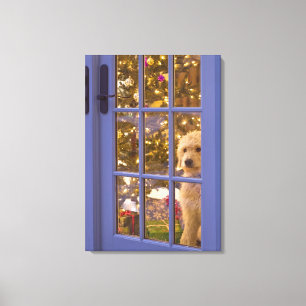 Golden Doodle puppy looking out glass door with Canvas Print
