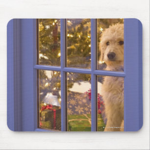 Golden Doodle puppy looking out glass door with Mouse Pad