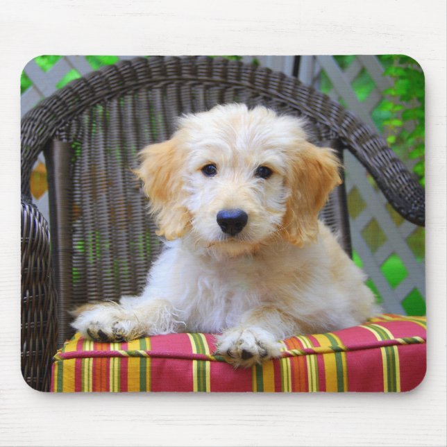 Golden Doodle Puppy Mousepad (Front)