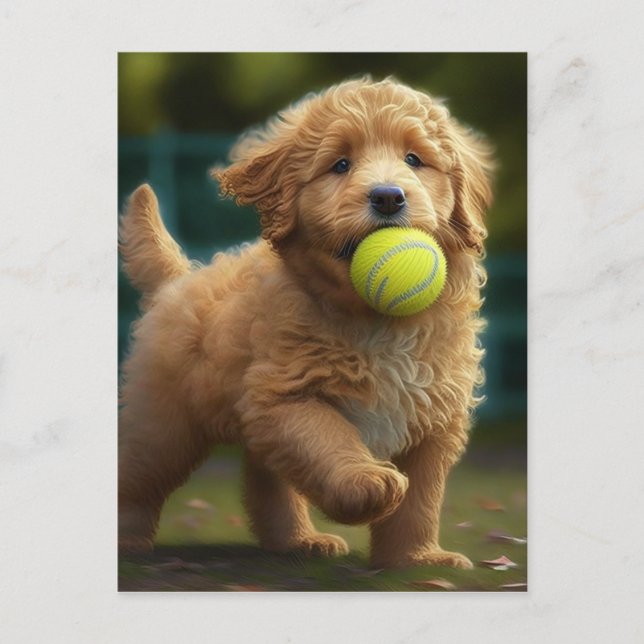 Golden Doodle Puppy Plays Ball Postcard (Front)