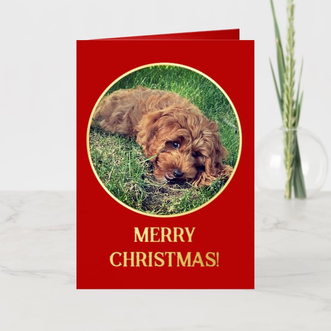 Golden Doodle Red Foil Greeting Card (Front)