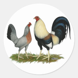 Golden Duckwing Chickens Classic Round Sticker