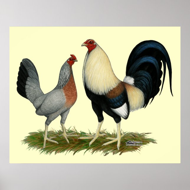 Golden Duckwing Chickens Poster (Front)